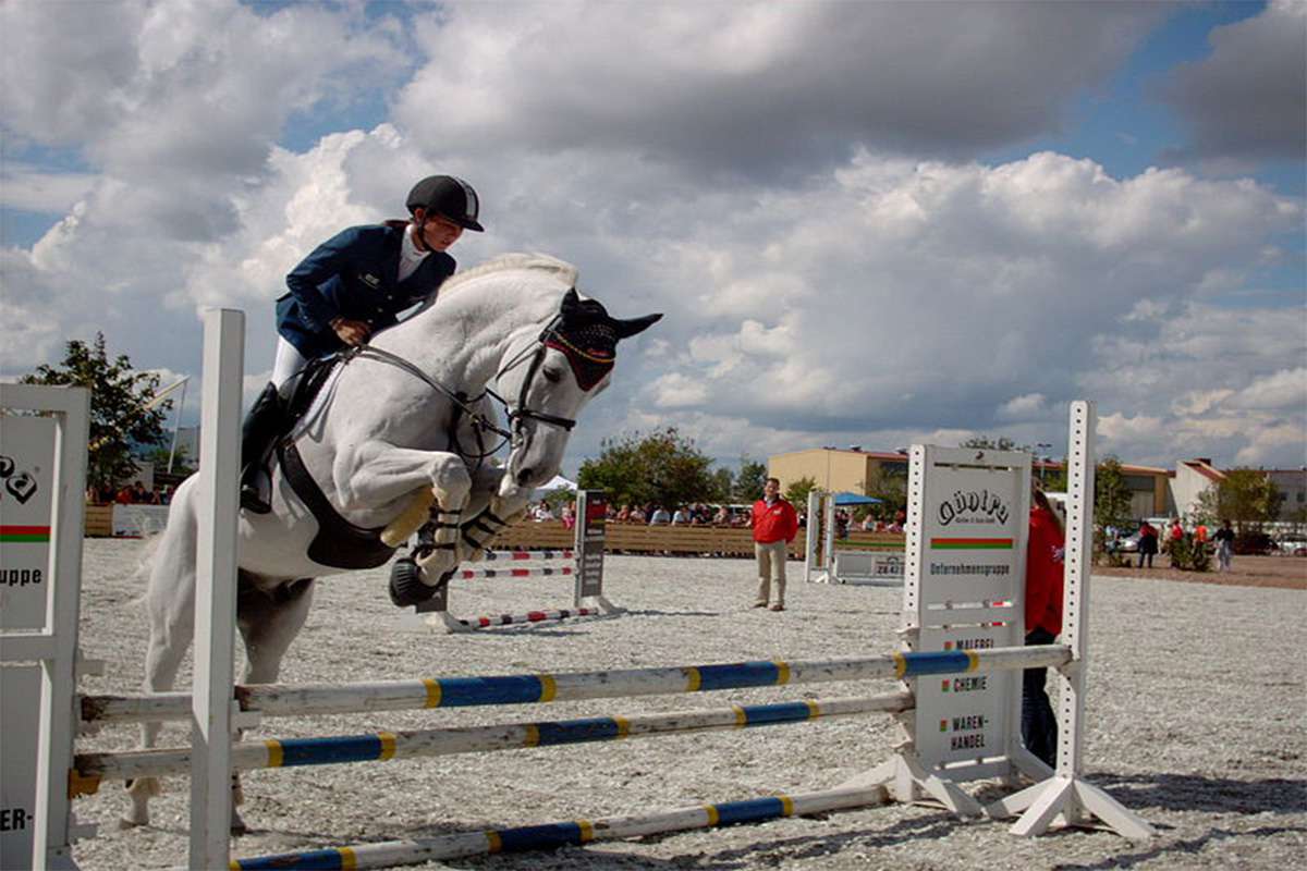 Show jumping, an equestrian sport